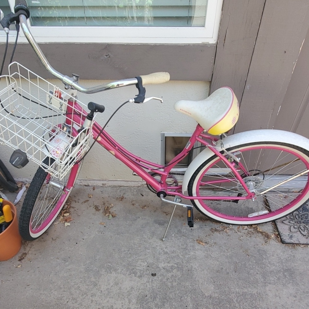 Schwinn Beach Cruiser Bike